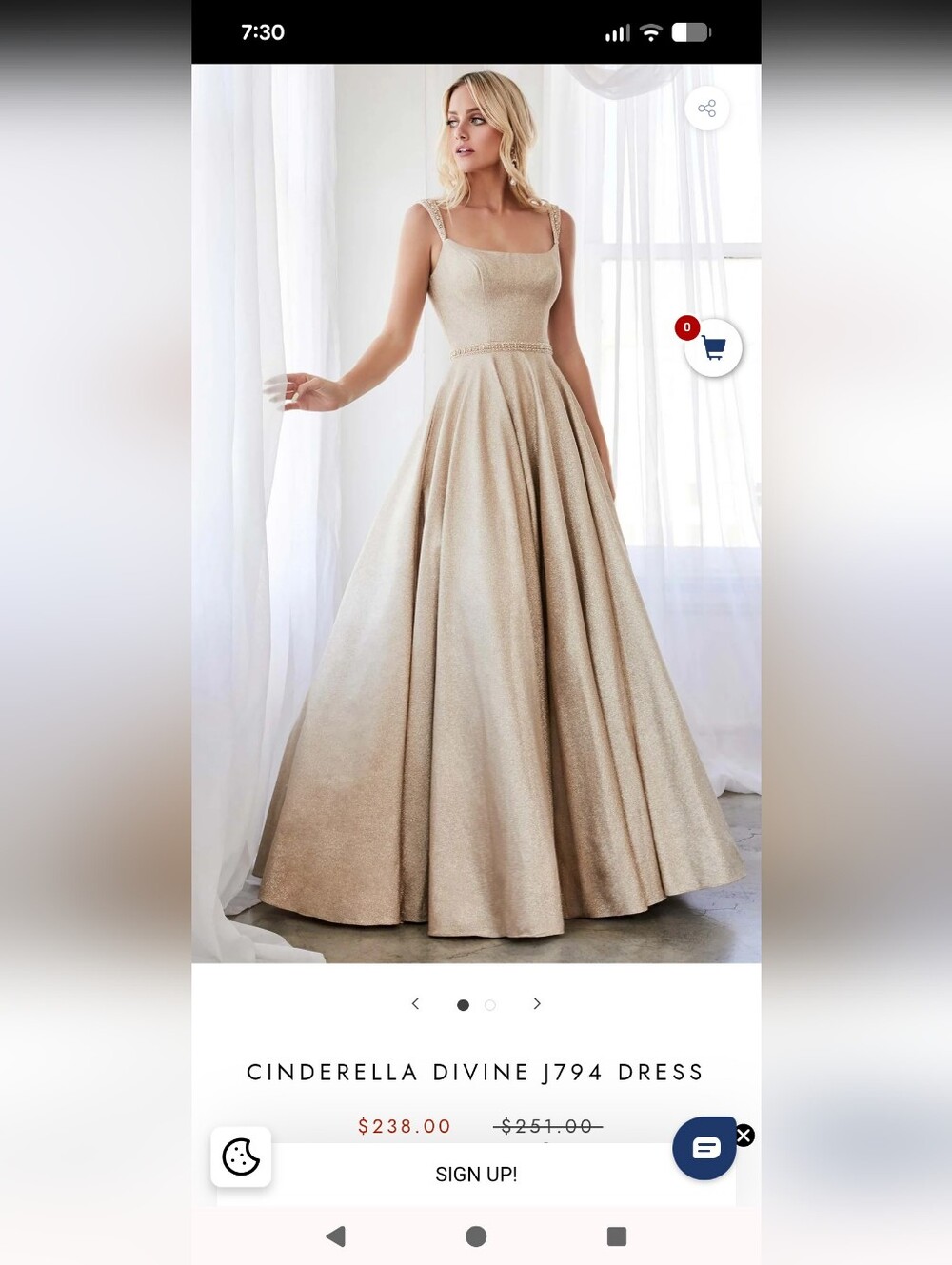 Cinderella Champagne Shimmer Maxi Gown